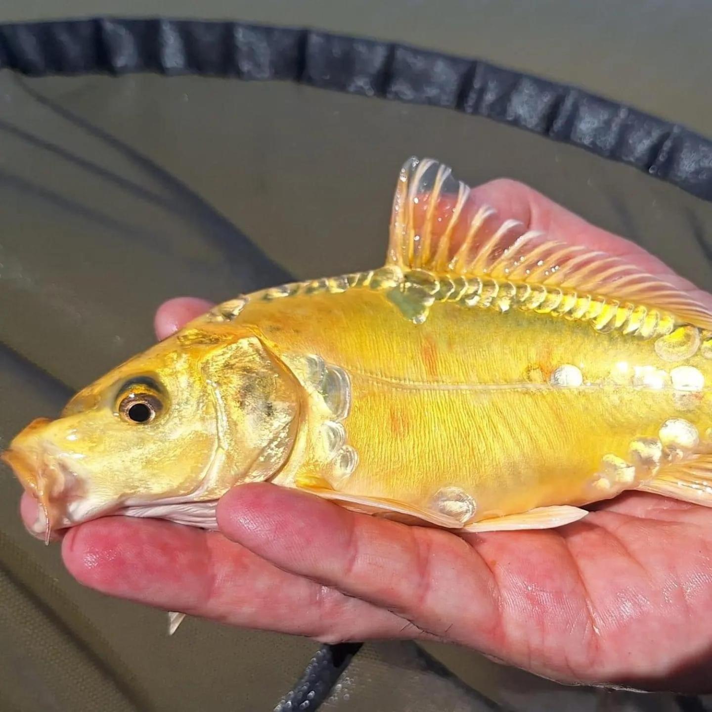 Lakeside Fishing Retreats بوسطن الغرفة الصورة