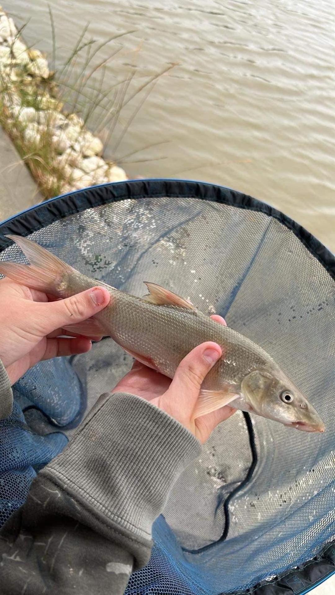 Lakeside Fishing Retreats بوسطن الغرفة الصورة