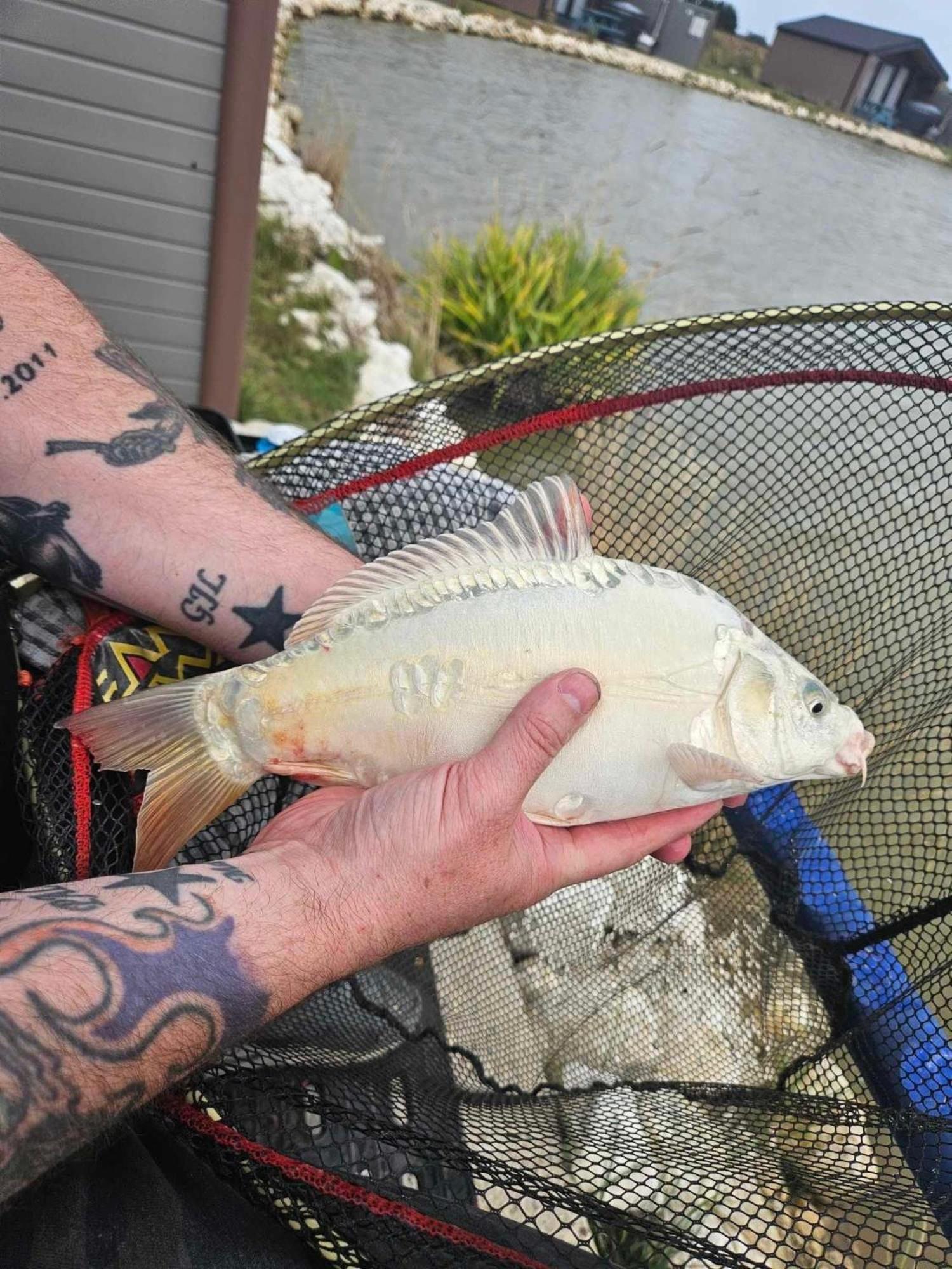 Lakeside Fishing Retreats بوسطن الغرفة الصورة