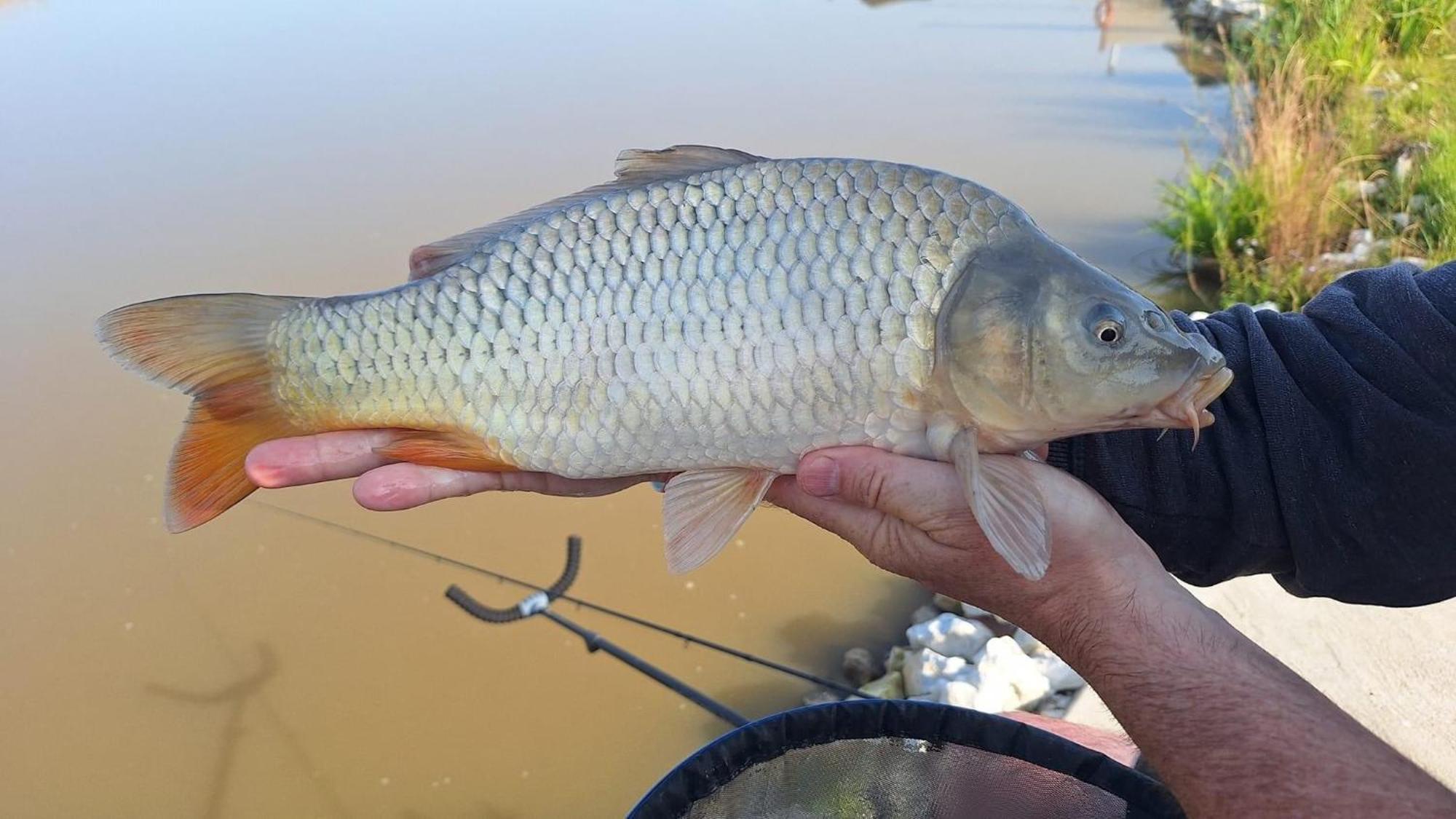 Lakeside Fishing Retreats بوسطن الغرفة الصورة