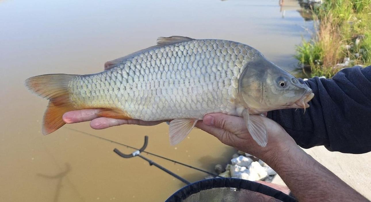 Lakeside Fishing Retreats بوسطن الغرفة الصورة