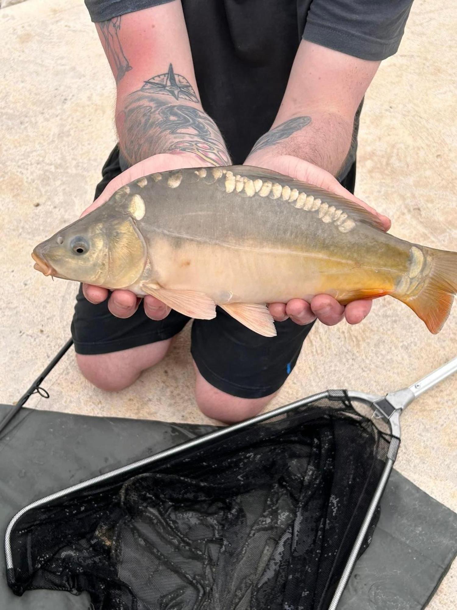 Lakeside Fishing Retreats بوسطن الغرفة الصورة